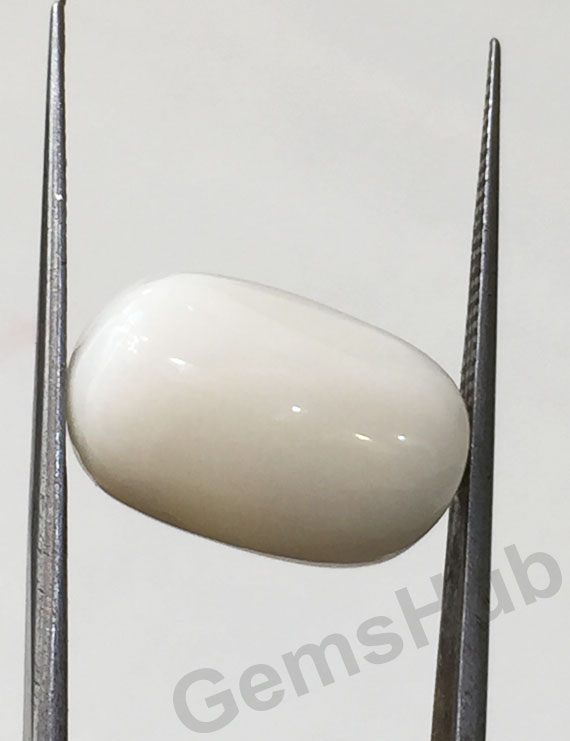 11.25 ratti/10.01 ct Natural Certified  White Coral/सफ़ेद मूंगा